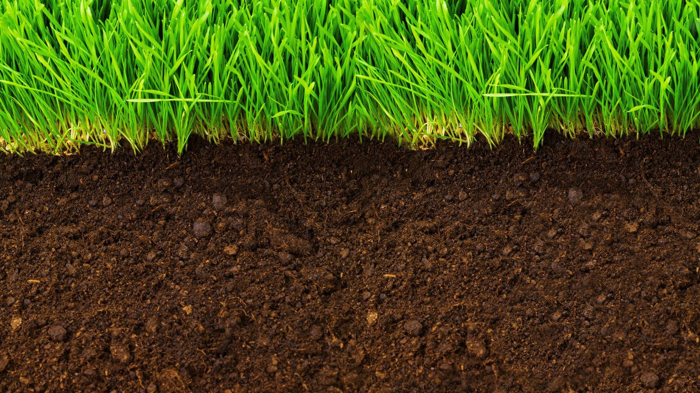 Nipponfert Industria e Comercio de Fertilizantes Ltda